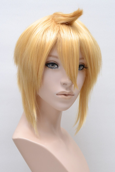 コスプレウィッグ Salt 警察官 コスプレ ウィッグ - 警察官 コスプレ | ウィッグ通販